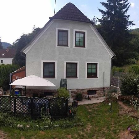Appartamento Zu Hause Am Bach Aggsbach Esterno foto