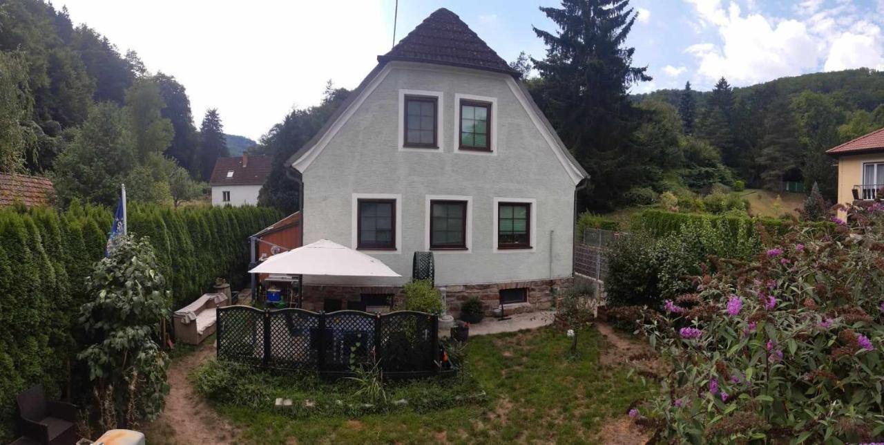 Appartamento Zu Hause Am Bach Aggsbach Esterno foto