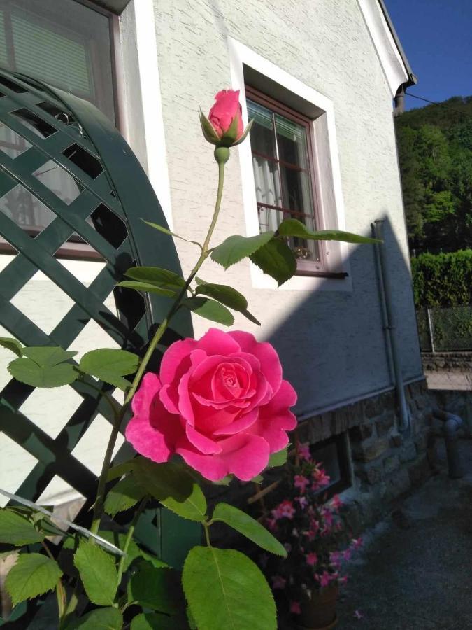 Appartamento Zu Hause Am Bach Aggsbach Esterno foto